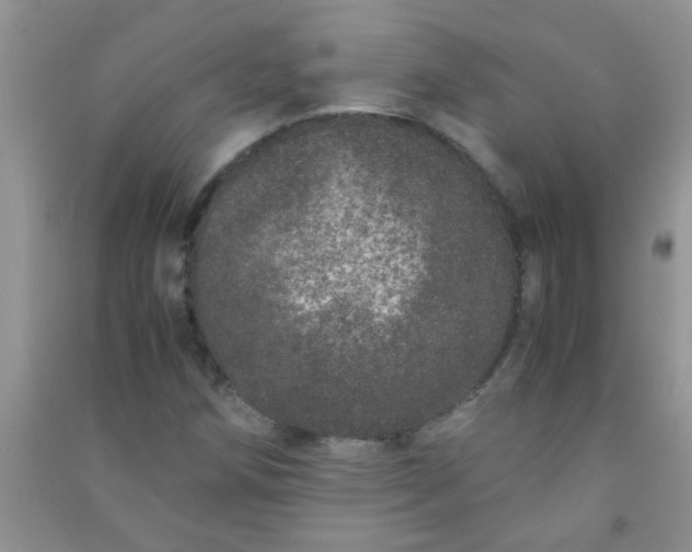 X0000090991258200708161910