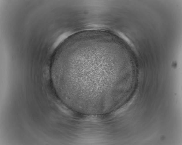 X0000090991259200708161910