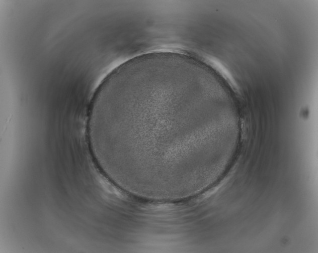 X0000090991260200708161909