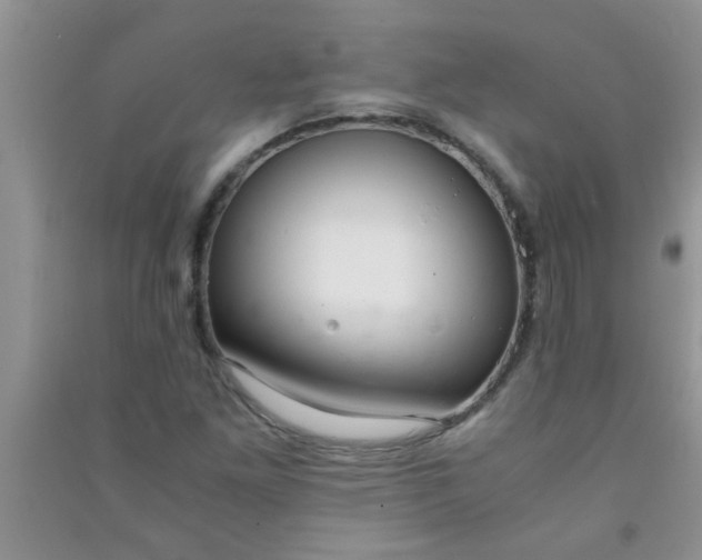 X0000090991261200708161909