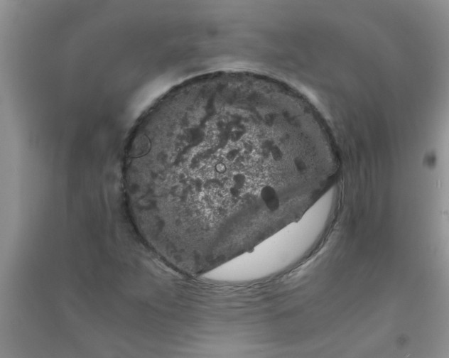 X0000090991263200708161909