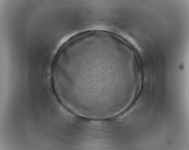 X0000090991264200708161909
