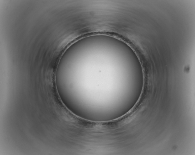 X0000090991265200708161909