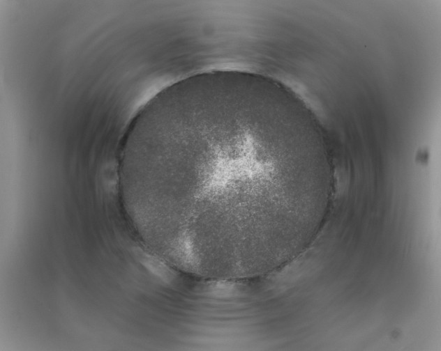 X0000090991266200708161909