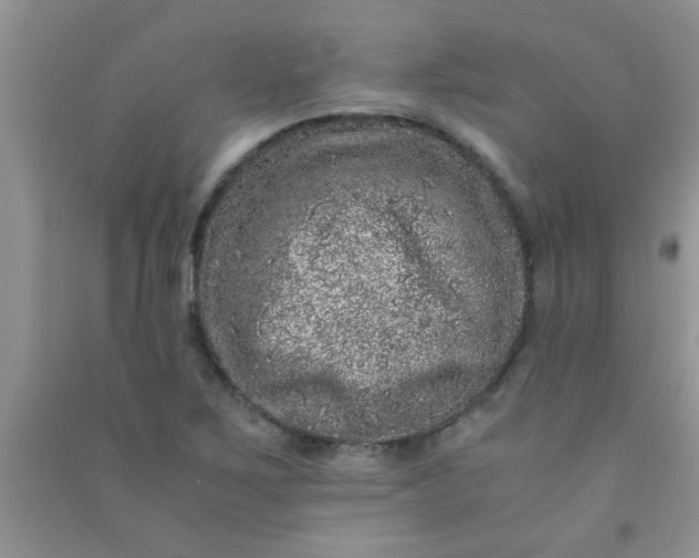 X0000090991267200708161909