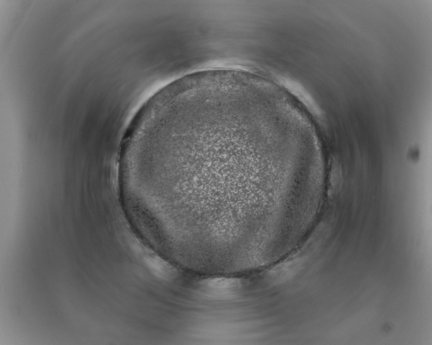 X0000090991268200708161909