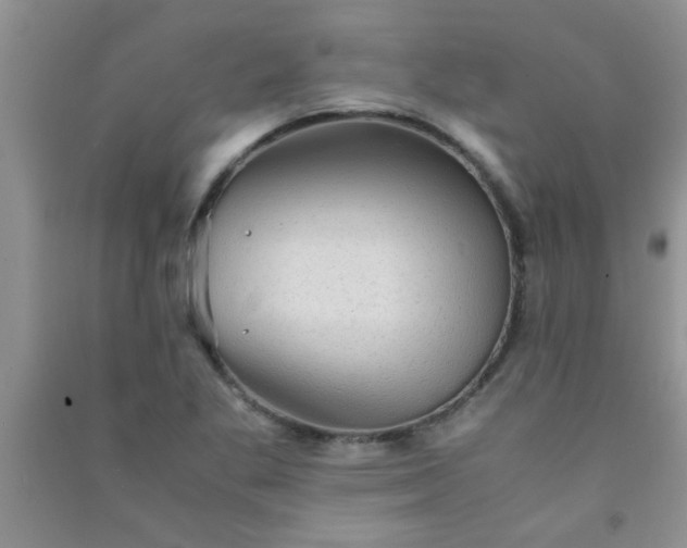 X0000090991269200708161909