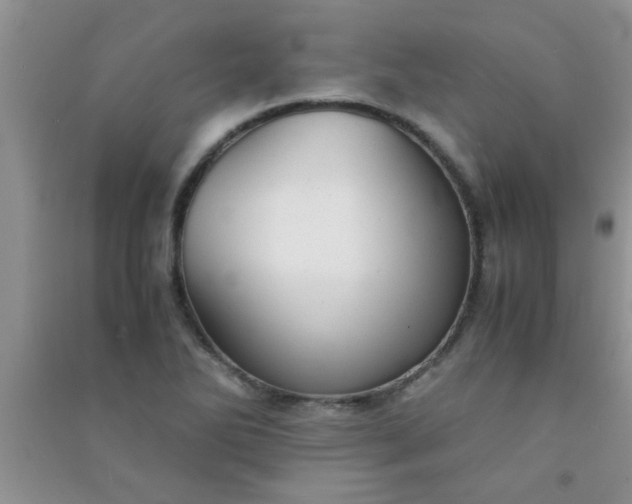 X0000090991270200708161909