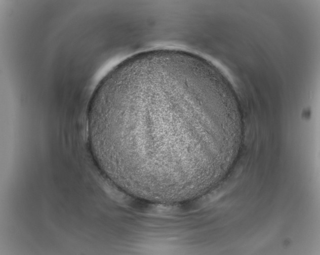 X0000090991271200708161909