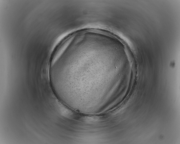 X0000090991272200708161909