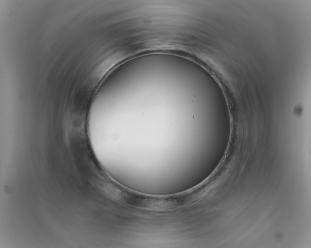 X0000090991273200708161909