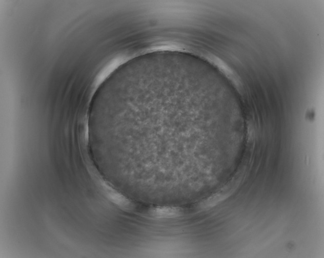 X0000090991274200708161909