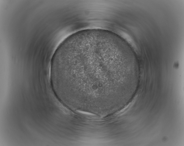 X0000090991275200708161909