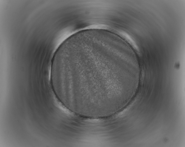 X0000090991276200708161909