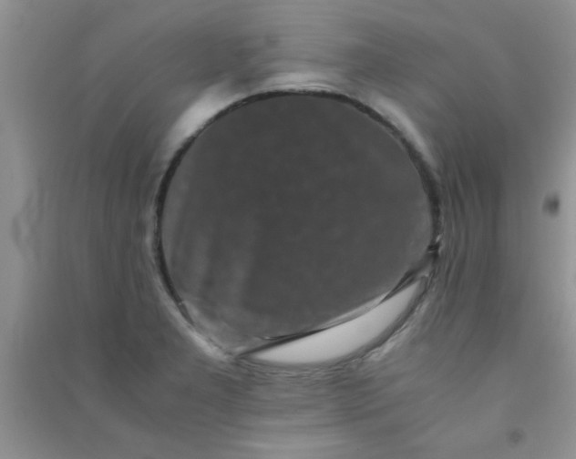 X0000090991277200708161909
