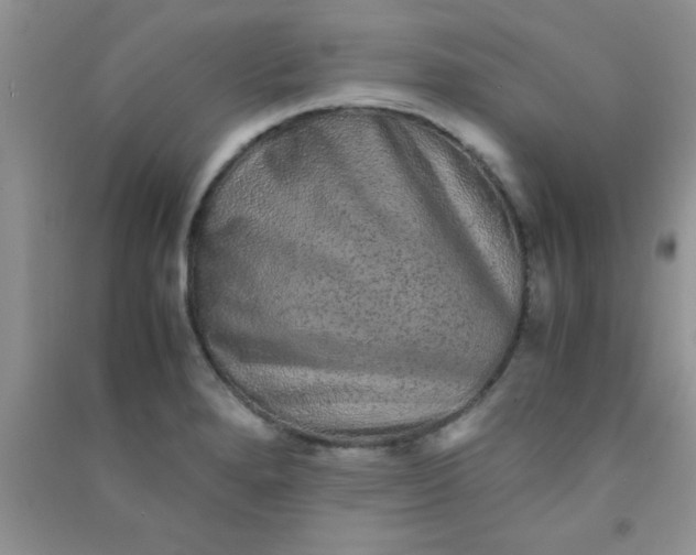 X0000090991280200708161909