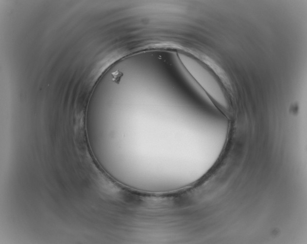 X0000090991281200708161909