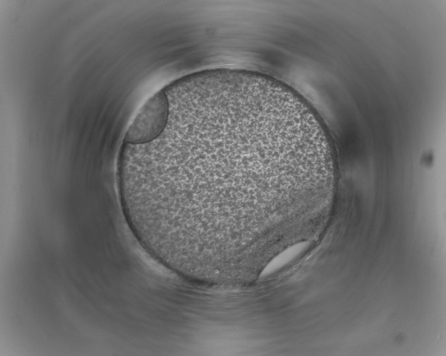 X0000090991283200708161909