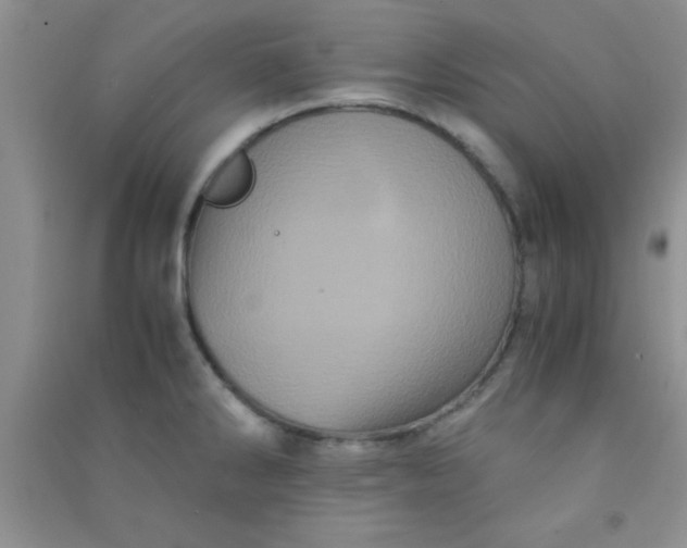 X0000090991286200708161909