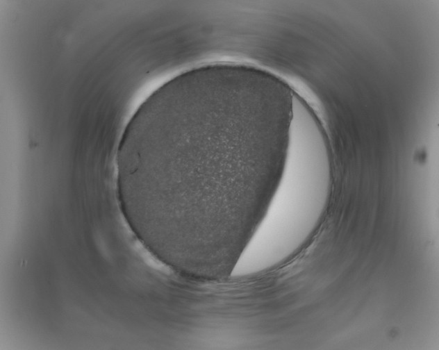 X0000090991287200708161909