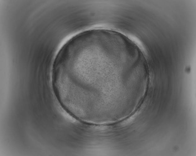 X0000090991288200708161909