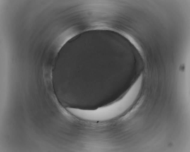 X0000090991289200708161909