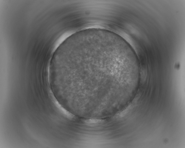 X0000090991290200708161909