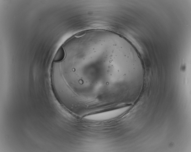 X0000090991291200708161909