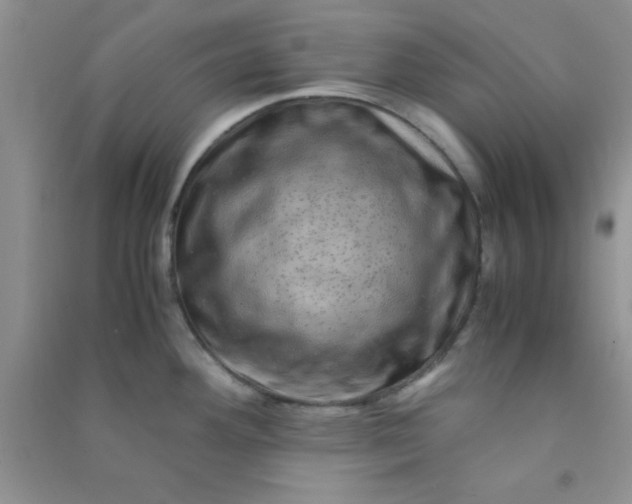 X0000090991292200708161909
