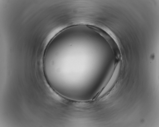 X0000090991293200708161909
