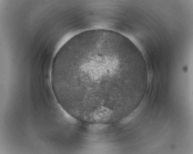 X0000090991294200708161909