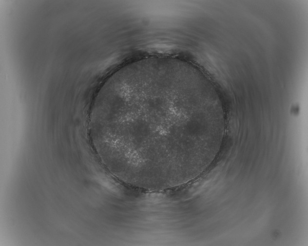 X0000090991297200708161908