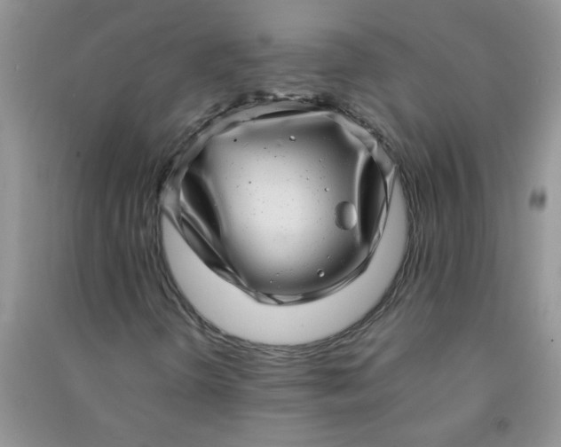X0000090991298200708161908