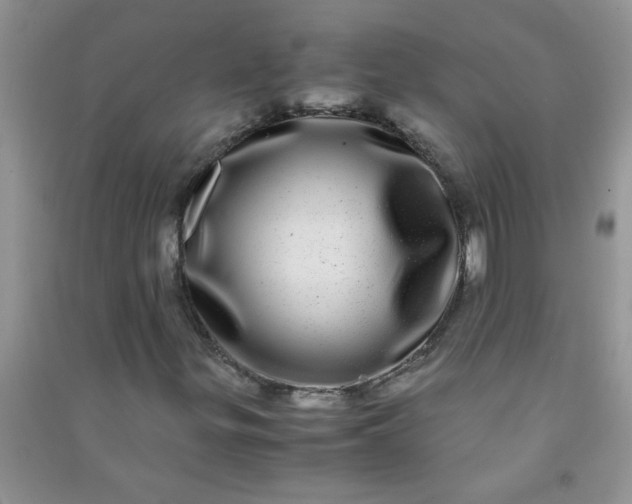 X0000090991299200708161908