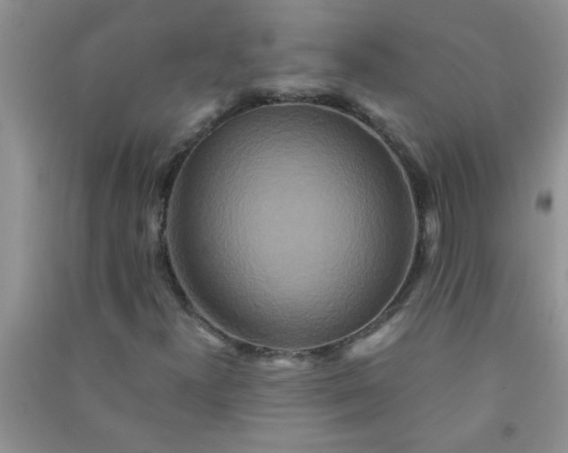 X0000090991300200708161908