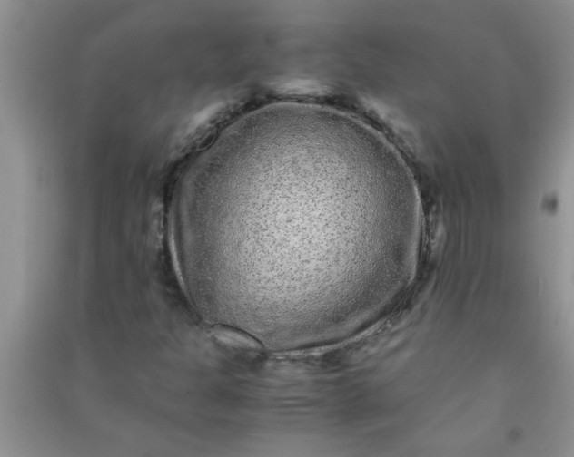 X0000090991301200708161909