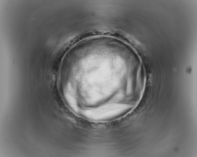 X0000090991302200708161909