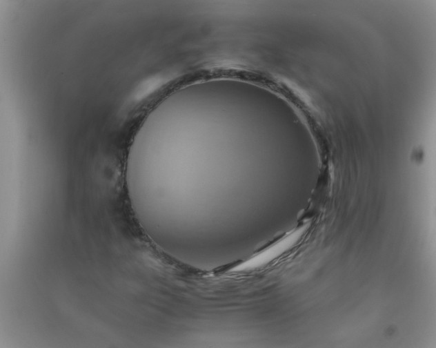 X0000090991303200708161909