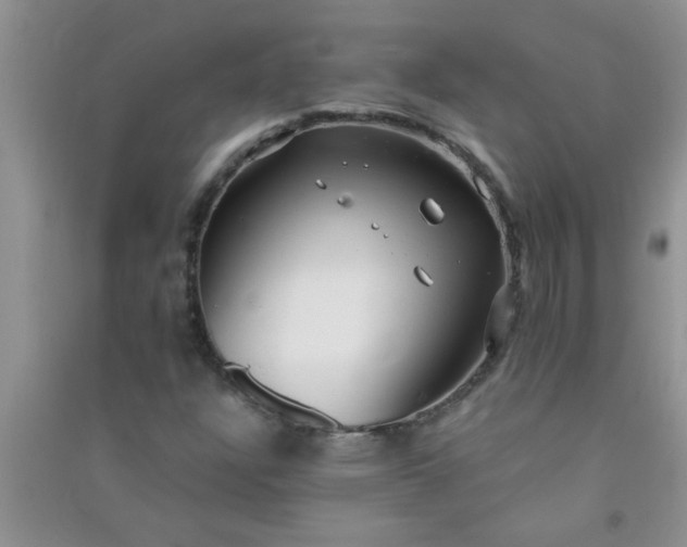 X0000090991304200708161909