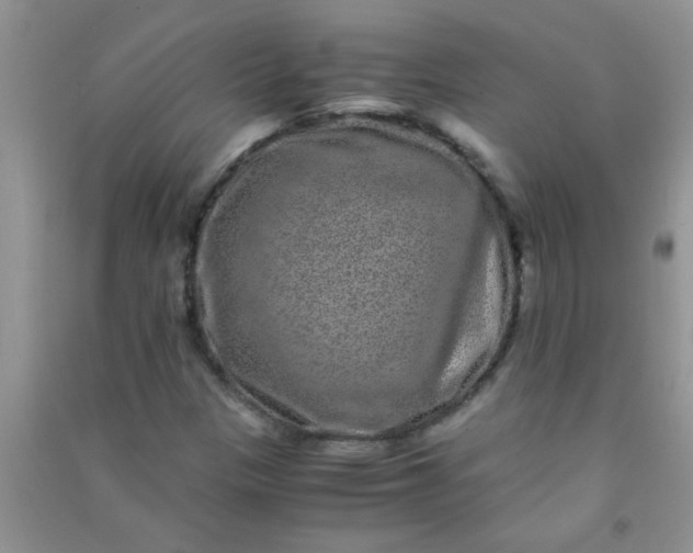 X0000090991305200708161909