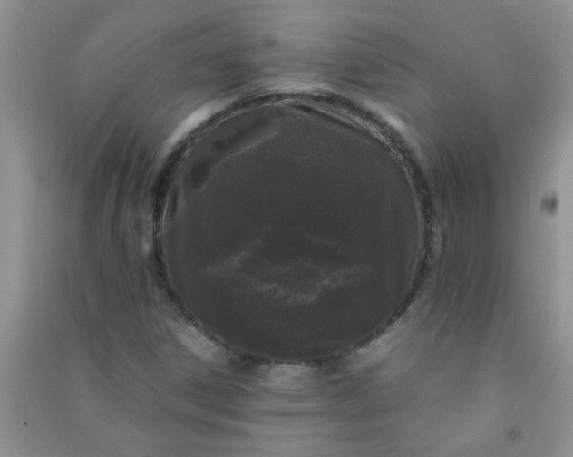 X0000090991306200708161909