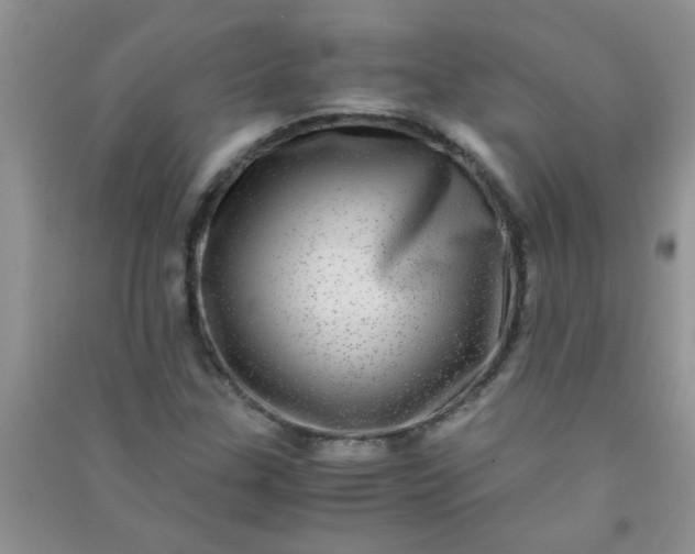 X0000090991307200708161909