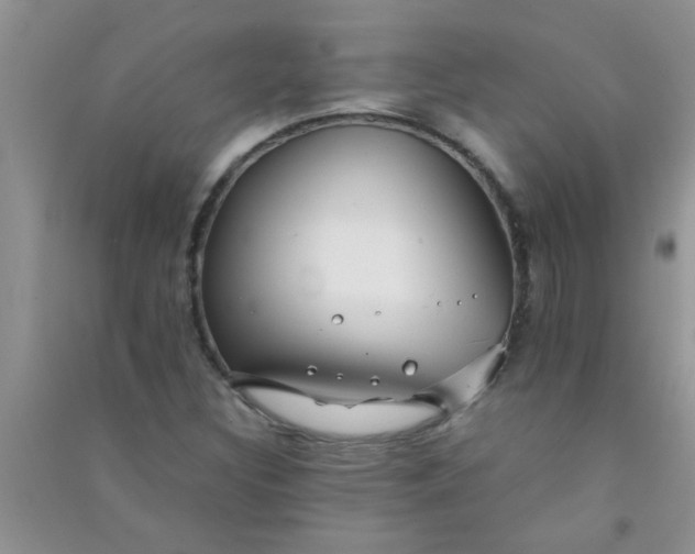 X0000090991308200708161909