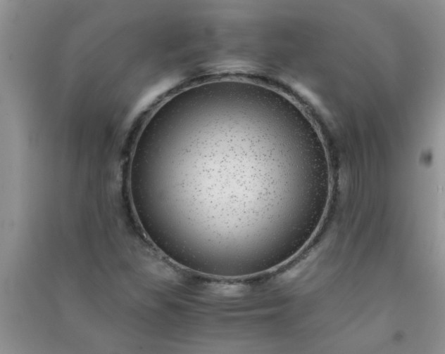 X0000090991309200708161909