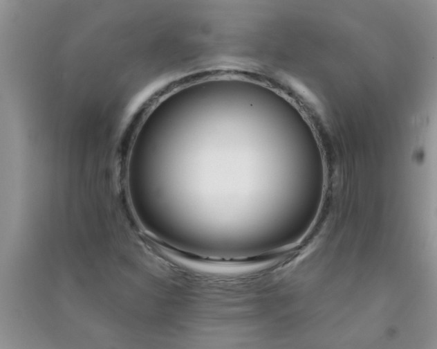 X0000090991310200708161909