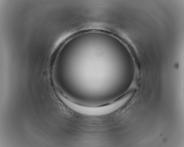 X0000090991312200708161909