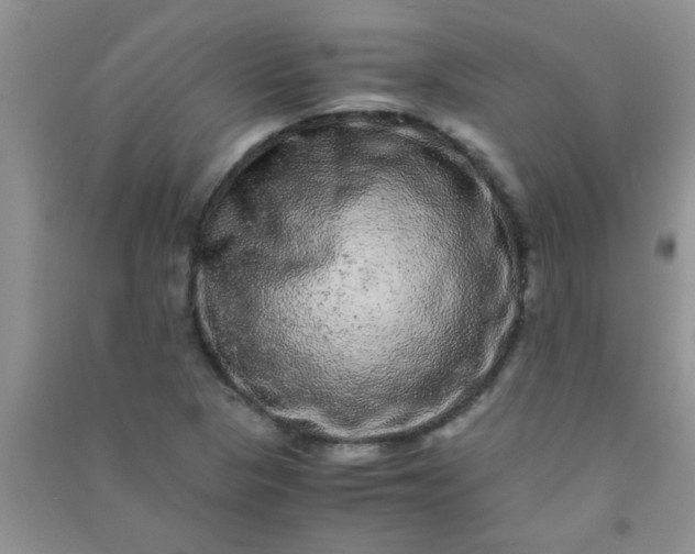 X0000090991313200708161909