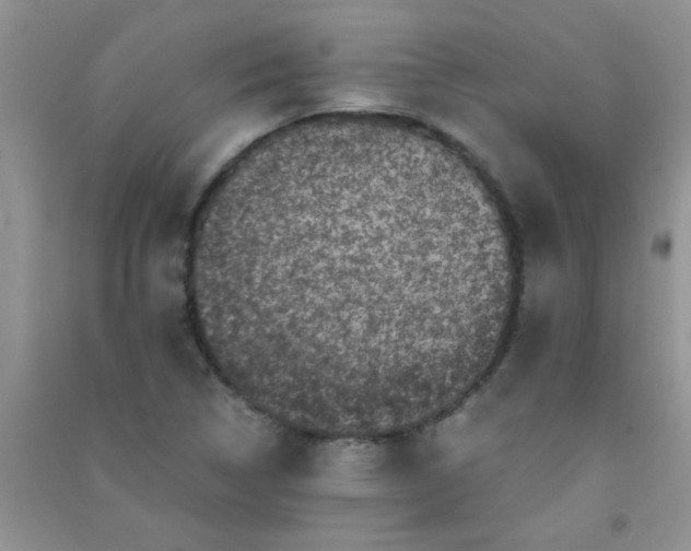X0000090991314200708161909