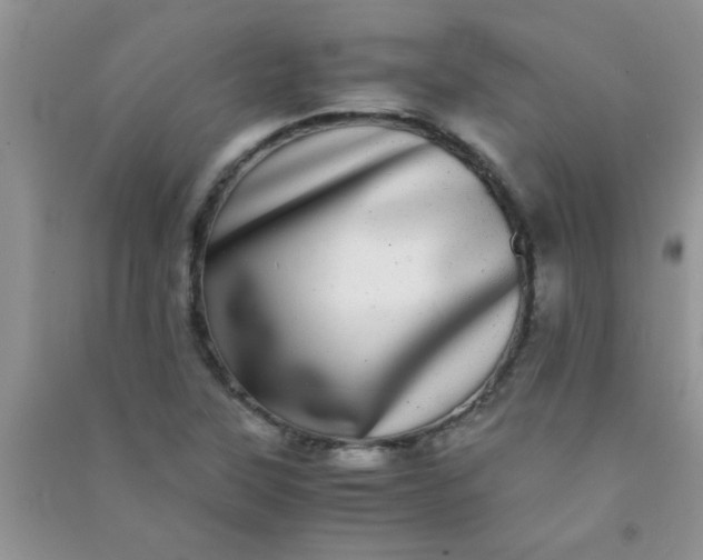 X0000090991315200708161909
