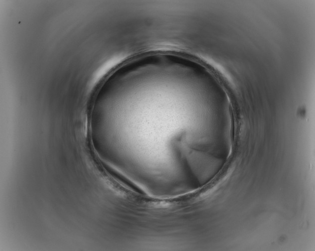 X0000090991317200708161909